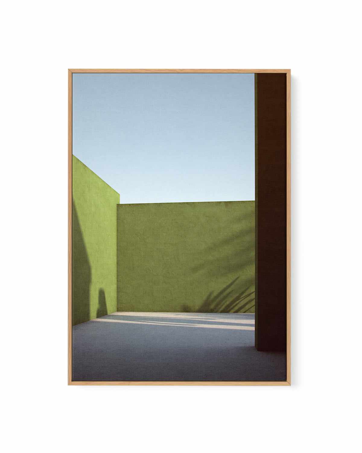 Shadows on Green by Guachinarte | Framed Canvas Art Print