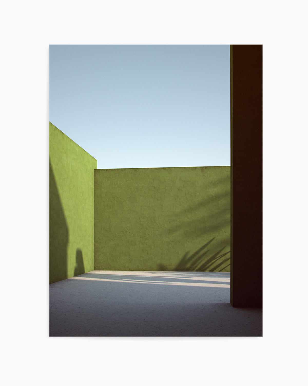 Shadows on Green by Guachinarte Art Print