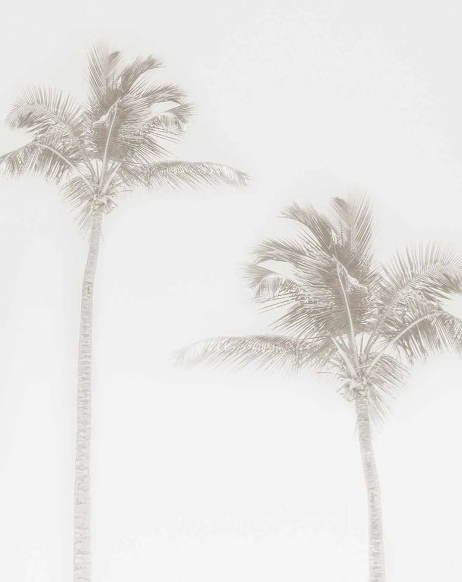 Peel and stick wallpaper featuring a faded, almost monochromatic, photographic print of two tall palm trees against a soft white background. The palm trees are rendered in muted, desaturated tones of light grey and beige, giving them a ghostly or ethereal quality. The composition shows the full height of the left palm tree and the upper portion of the right palm tree, with their fronds fanning out gently.
