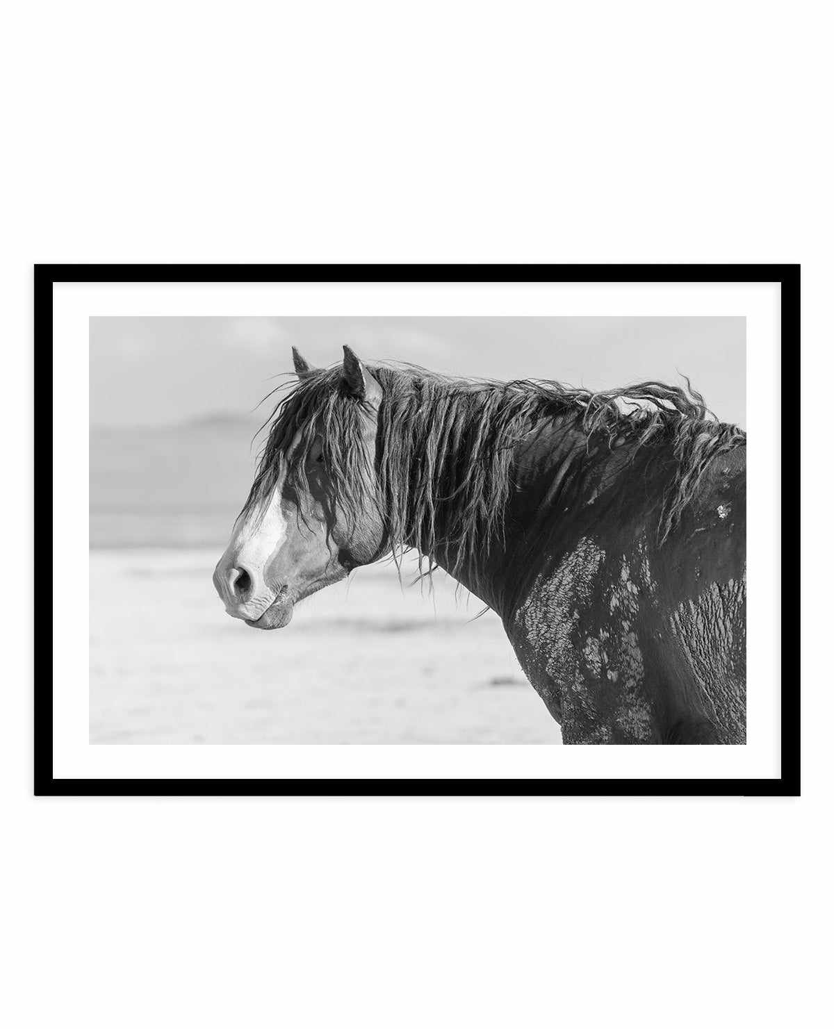 Shaggy by Rylee Olsen | Art Print from Olive et Oriel where you can shop wallpaper and artworks online