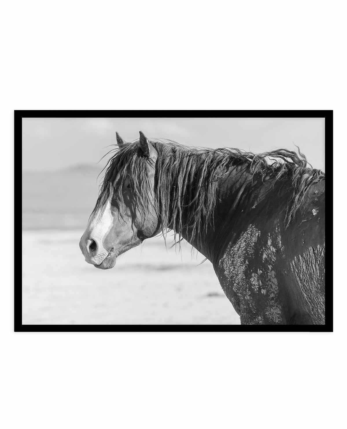 Shaggy by Rylee Olsen | Art Print from Olive et Oriel where you can shop wallpaper and artworks online