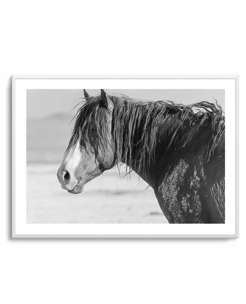 Shaggy by Rylee Olsen | Art Print from Olive et Oriel where you can shop wallpaper and artworks online