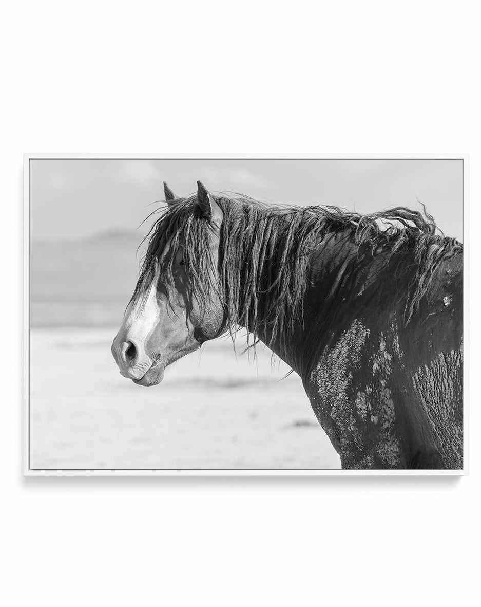 Shaggy by Rylee Olsen | Framed Canvas Art Print from Olive et Oriel where you can shop wallpaper and artworks online