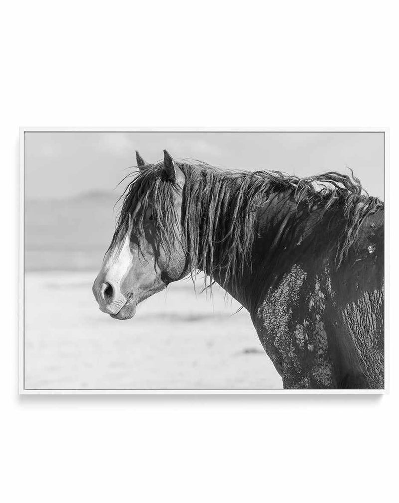 Shaggy by Rylee Olsen | Framed Canvas Art Print from Olive et Oriel where you can shop wallpaper and artworks online