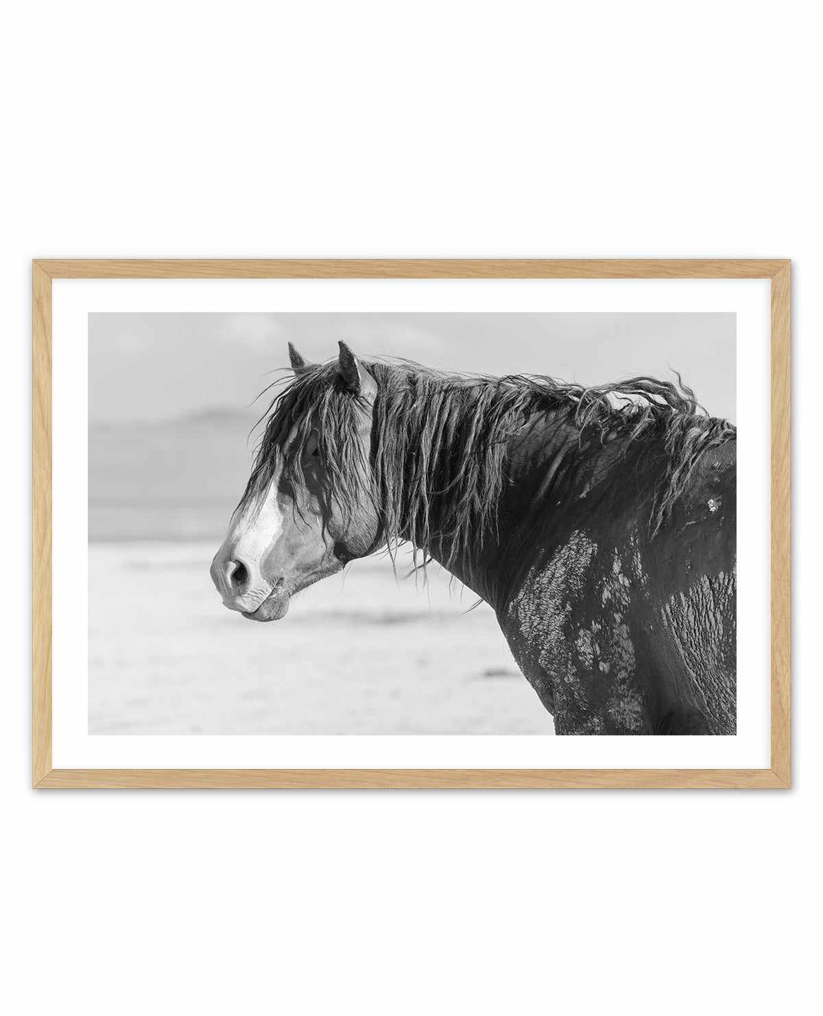 Shaggy by Rylee Olsen | Art Print from Olive et Oriel where you can shop wallpaper and artworks online