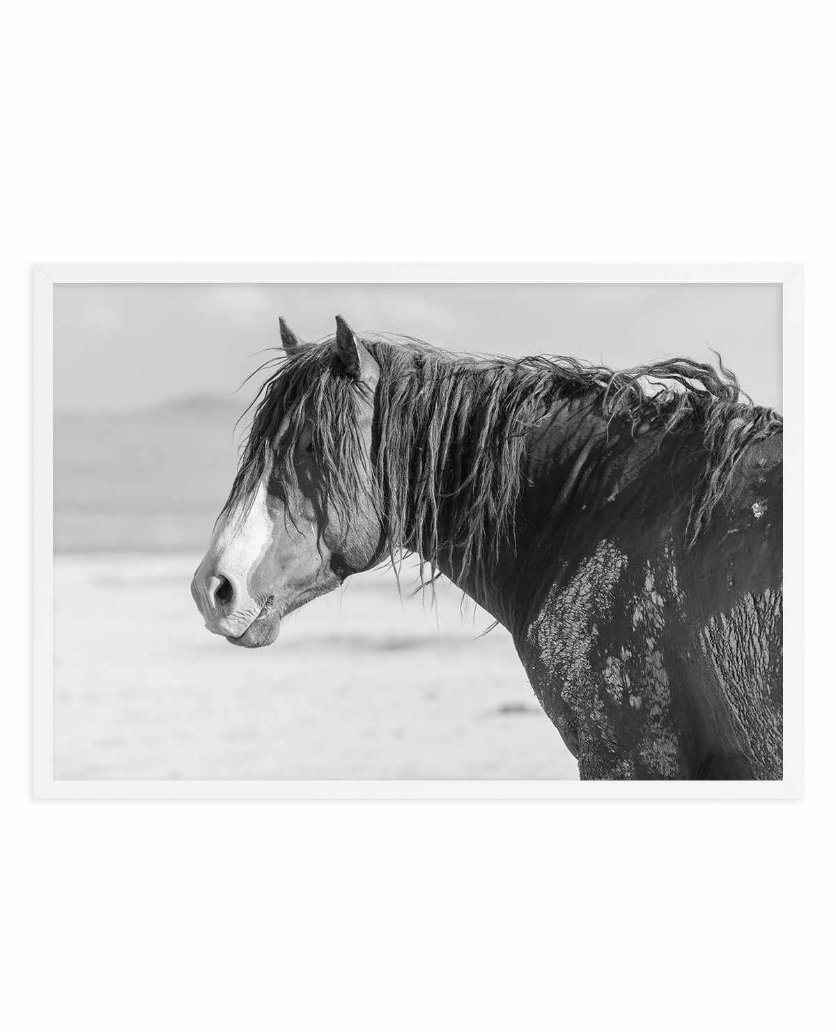 Shaggy by Rylee Olsen | Art Print from Olive et Oriel where you can shop wallpaper and artworks online