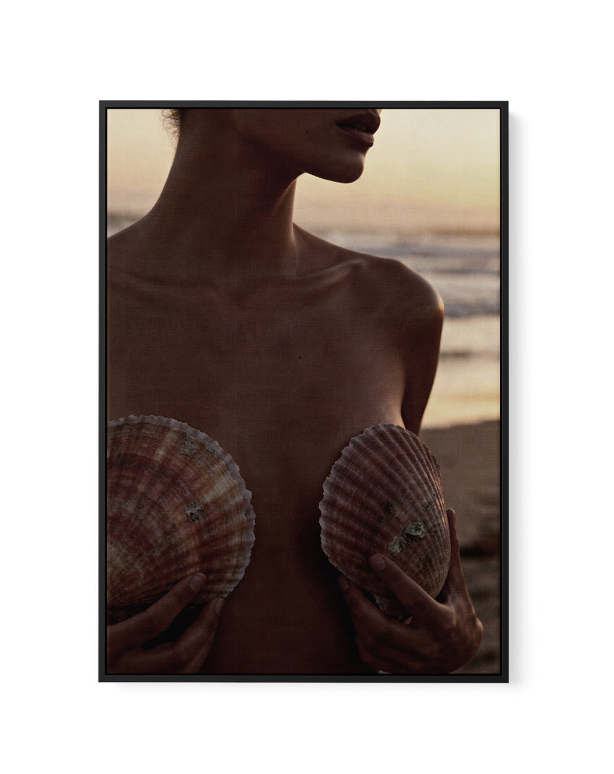 She Shells | Framed Canvas Art Print from Olive et Oriel where you can shop wallpaper and artworks online