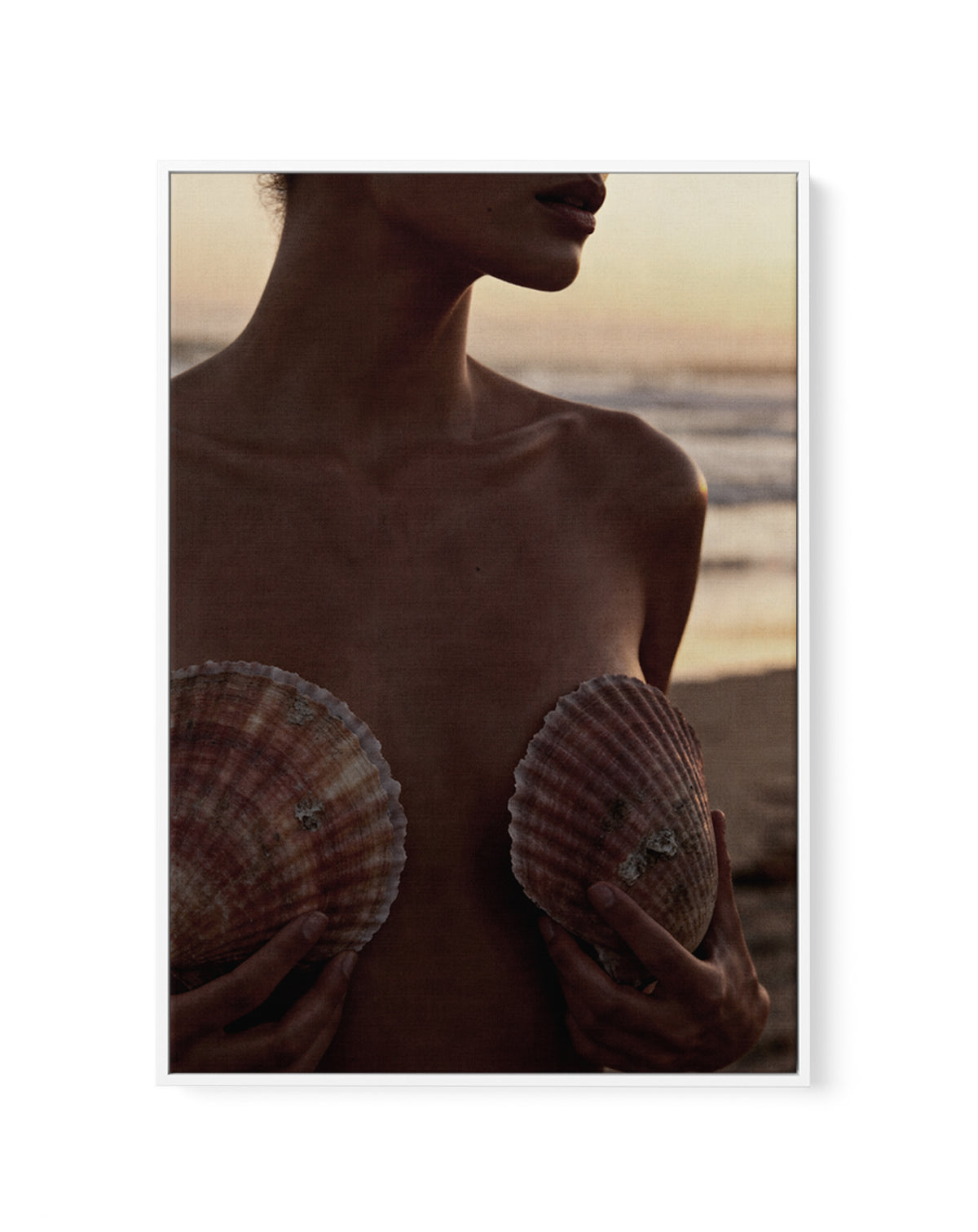 She Shells | Framed Canvas Art Print from Olive et Oriel where you can shop wallpaper and artworks online