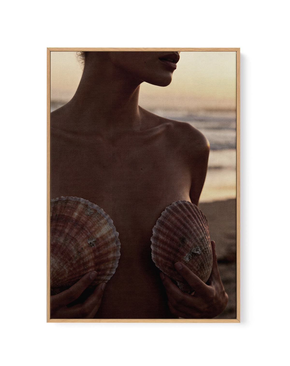 She Shells | Framed Canvas Art Print from Olive et Oriel where you can shop wallpaper and artworks online