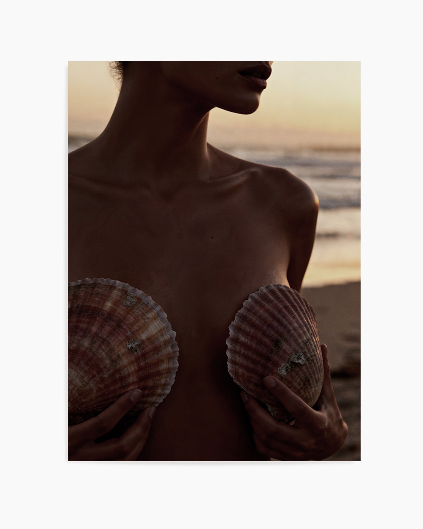 She Shells | Art Print from Olive et Oriel where you can shop wallpaper and artworks online