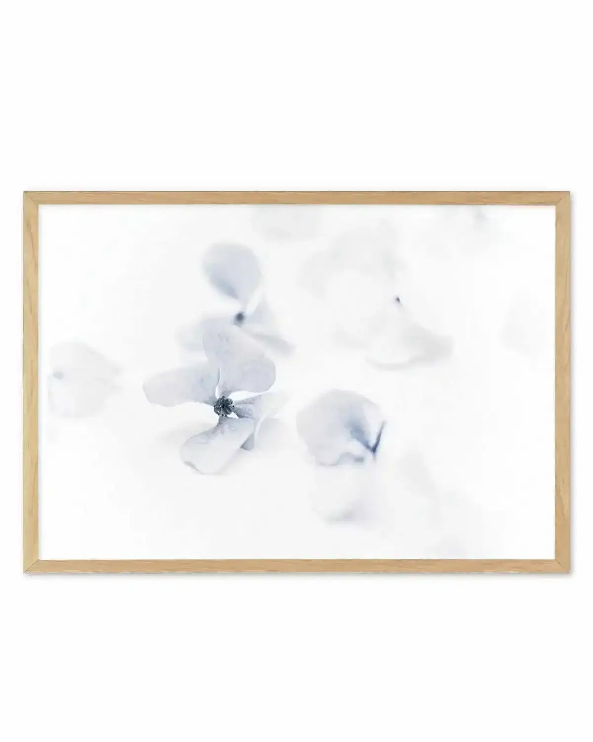 She's So Calm | Hydrangea II Art Print from Olive et Oriel where you can shop wallpaper and artworks online