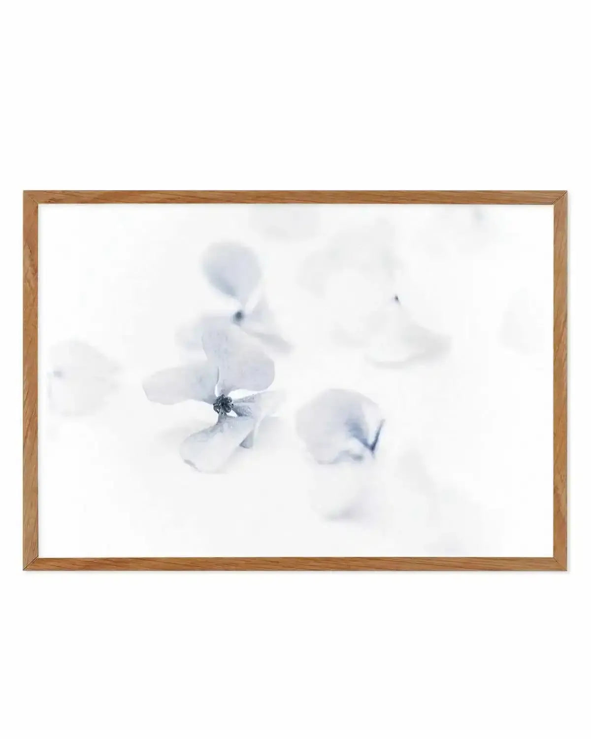 She's So Calm | Hydrangea II Art Print from Olive et Oriel where you can shop wallpaper and artworks online