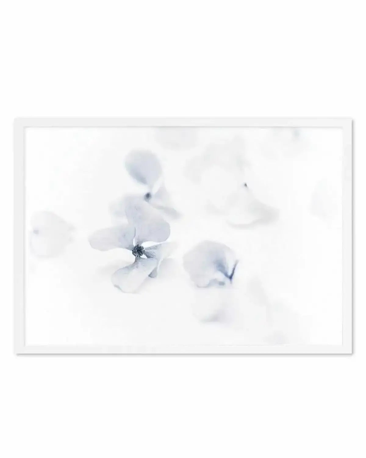 She's So Calm | Hydrangea II Art Print from Olive et Oriel where you can shop wallpaper and artworks online