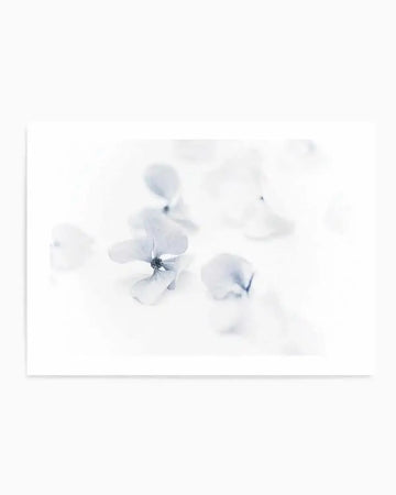 She's So Calm  Hydrangea II Art Print art print, framed