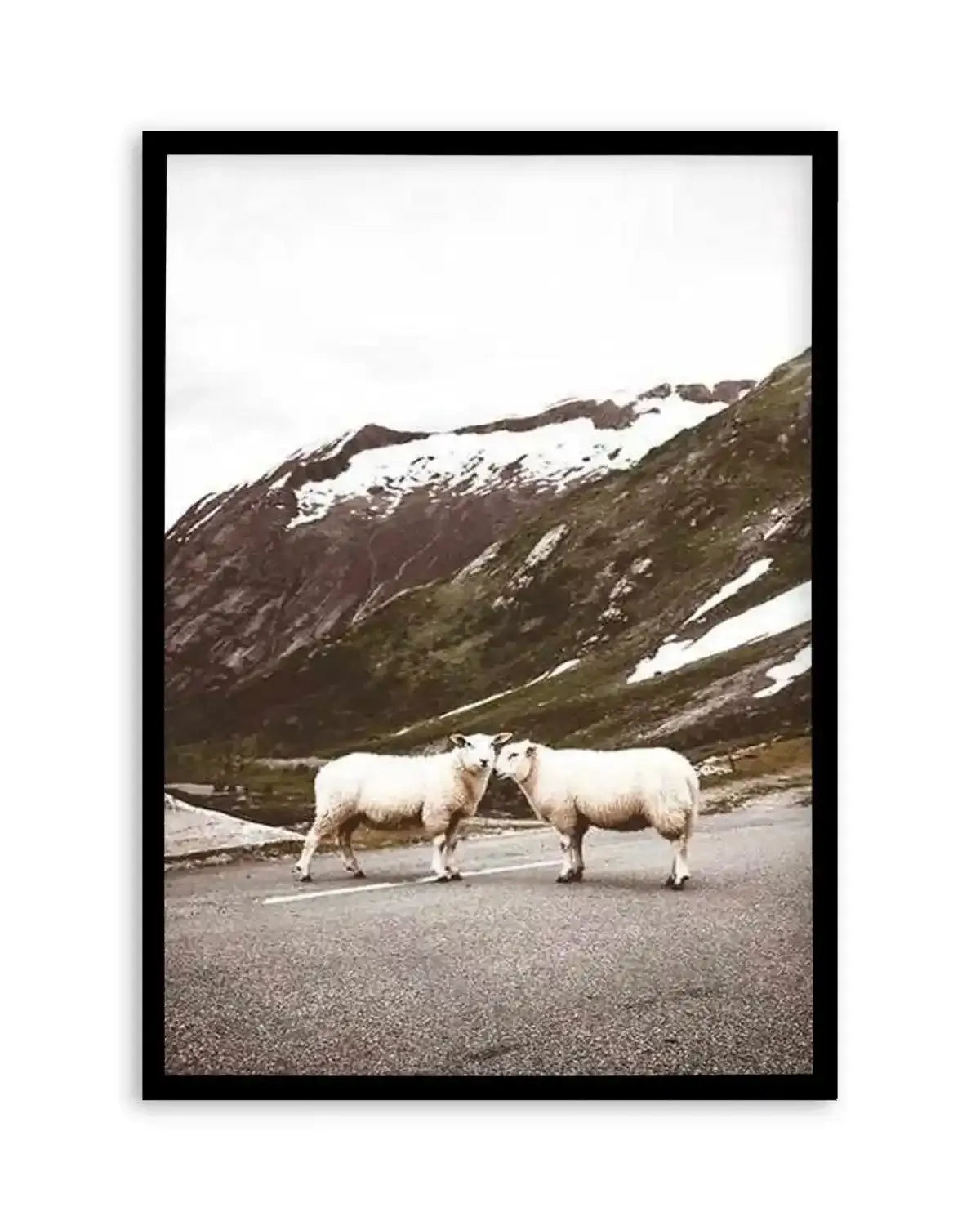 Sheep On The Road Art Print from Olive et Oriel where you can shop wallpaper and artworks online
