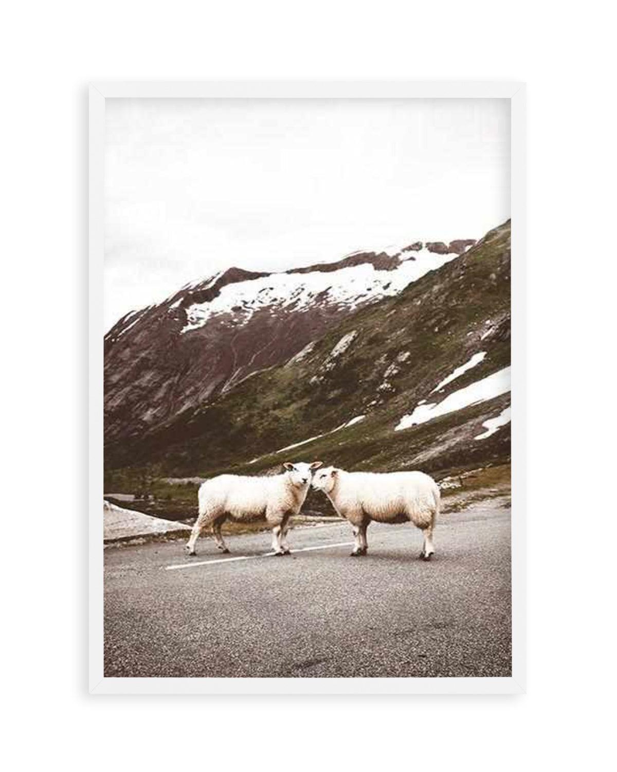 Sheep On The Road Art Print