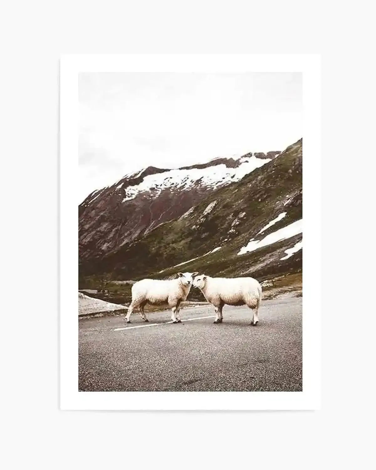 Sheep On The Road Art Print from Olive et Oriel where you can shop wallpaper and artworks online