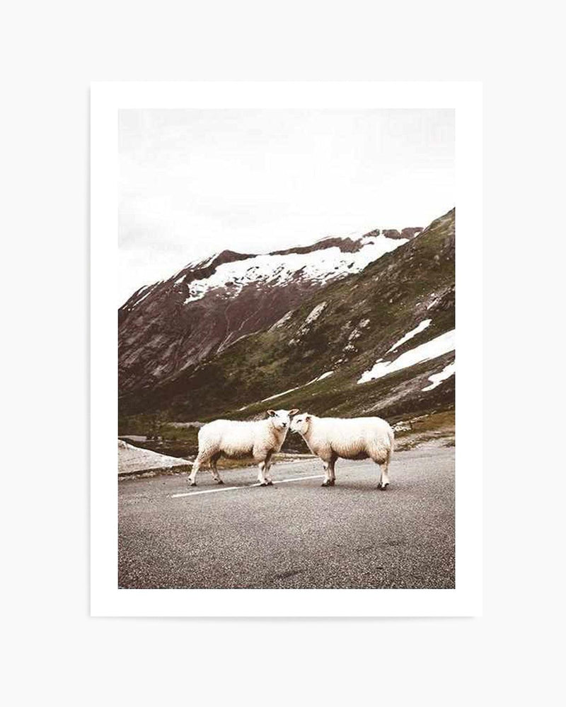 Sheep On The Road Art Print