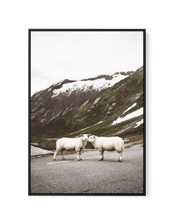 Framed canvas art print featuring a photograph of two white sheep standing on a gray asphalt road. Behind them, a dramatic mountainous landscape with snow-capped peaks, green and brown slopes, and patches of melting snow. Overcast sky above. The photograph has muted, natural tones with earthy greens, whites, and grays. Black frame with white border surrounding the landscape scene.