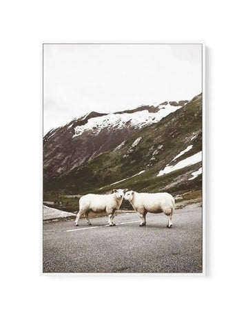 Framed canvas art print featuring a photograph of two white sheep standing on a paved road facing each other. Behind them, a dramatic alpine landscape with snow-capped mountain peaks, rocky slopes with patches of green vegetation and white snow, and an overcast sky. The photograph has muted, earthy tones of white, grey, brown, and sage green. The canvas is mounted in a slim grey frame with a white border.