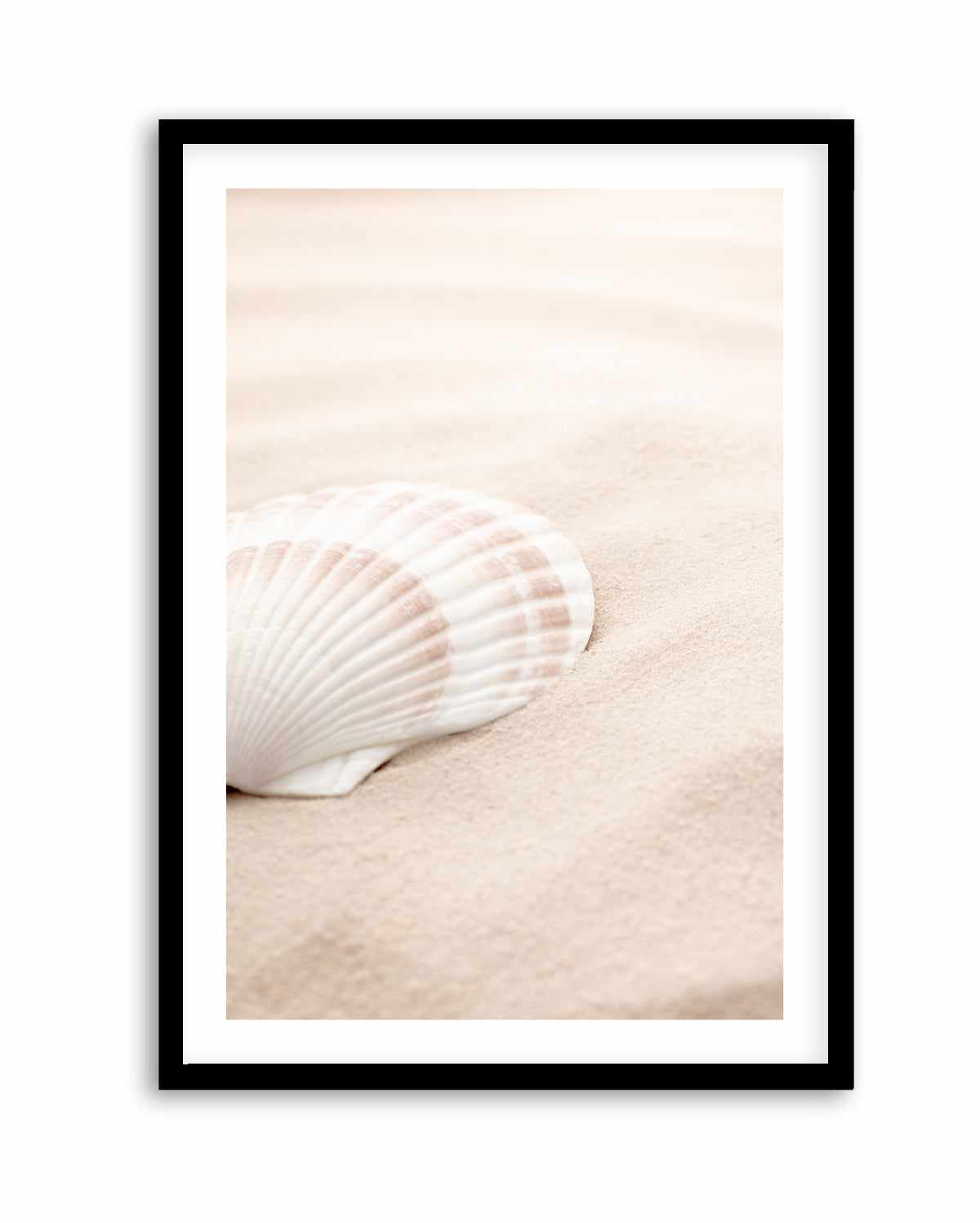 Shell 3 By Studio III | Art Print