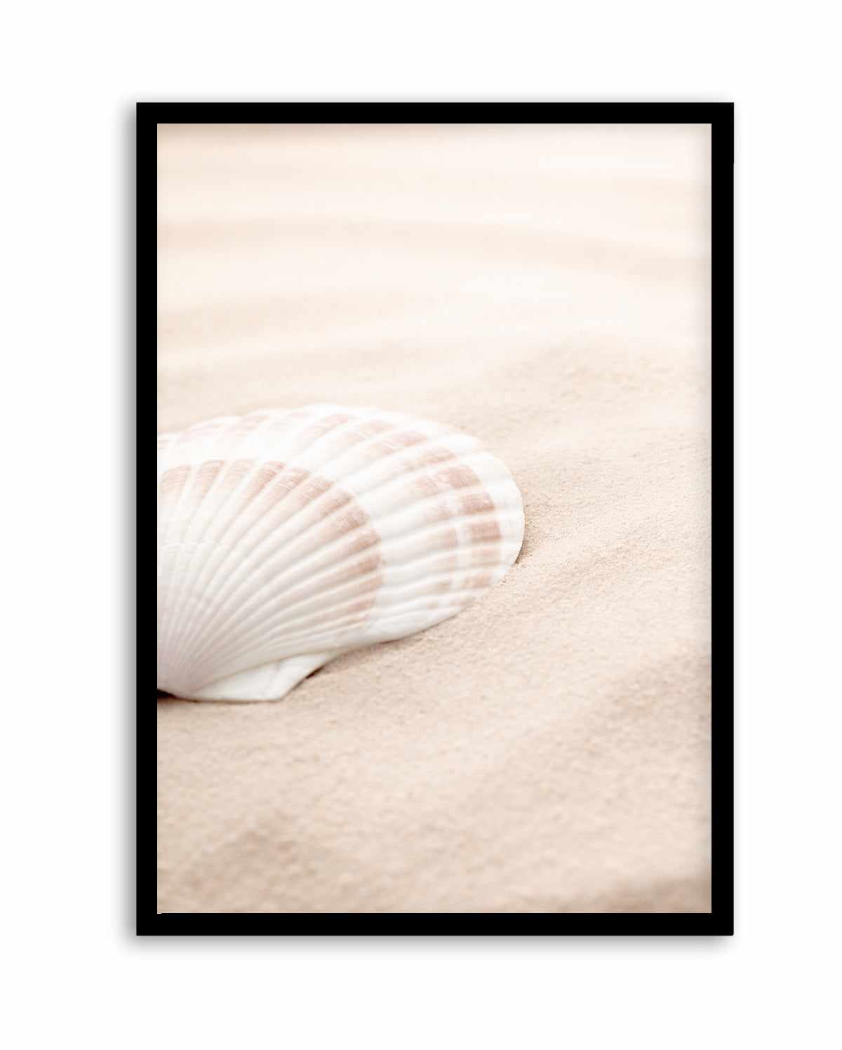 Shell 3 By Studio III | Art Print