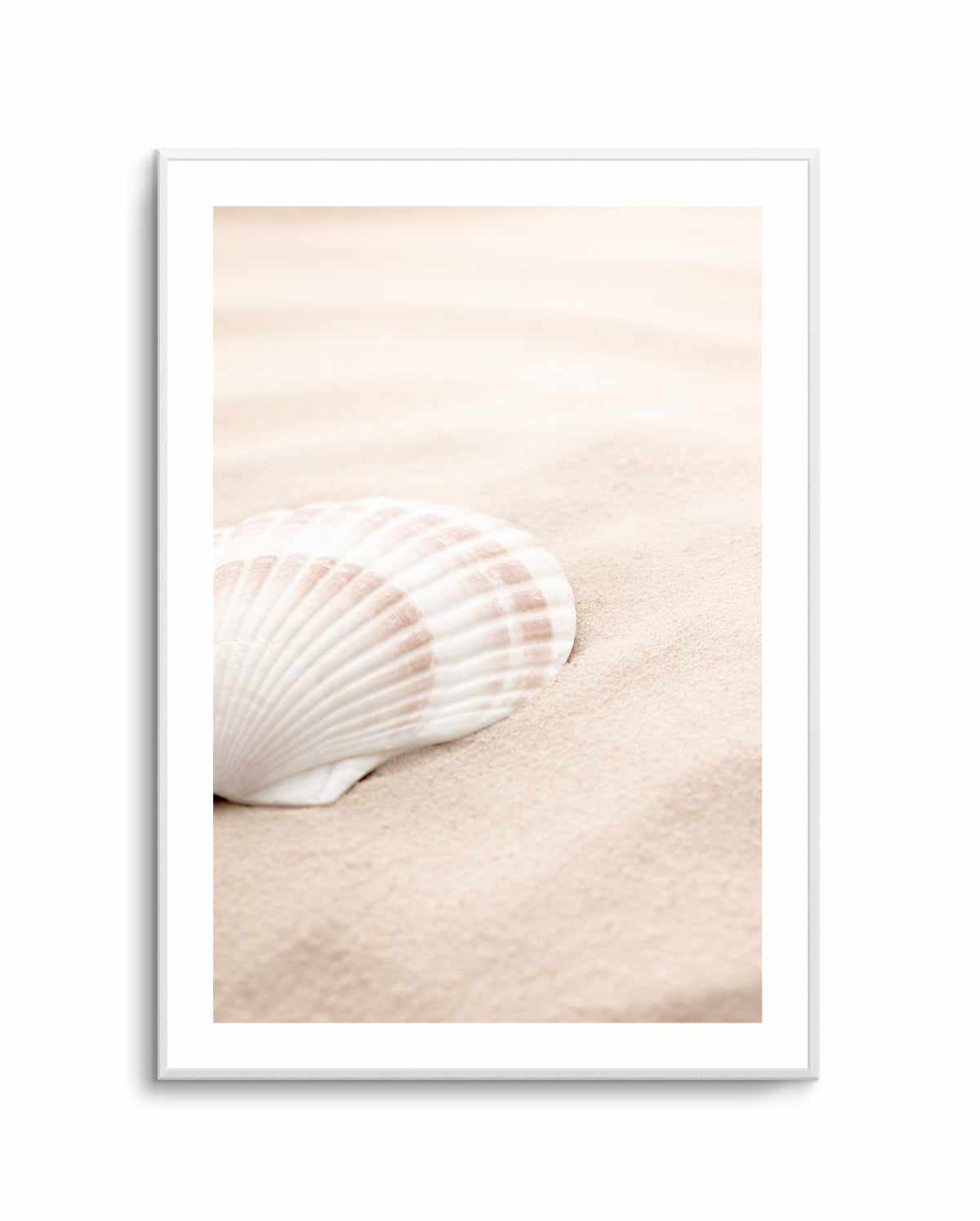 Shell 3 By Studio III | Art Print