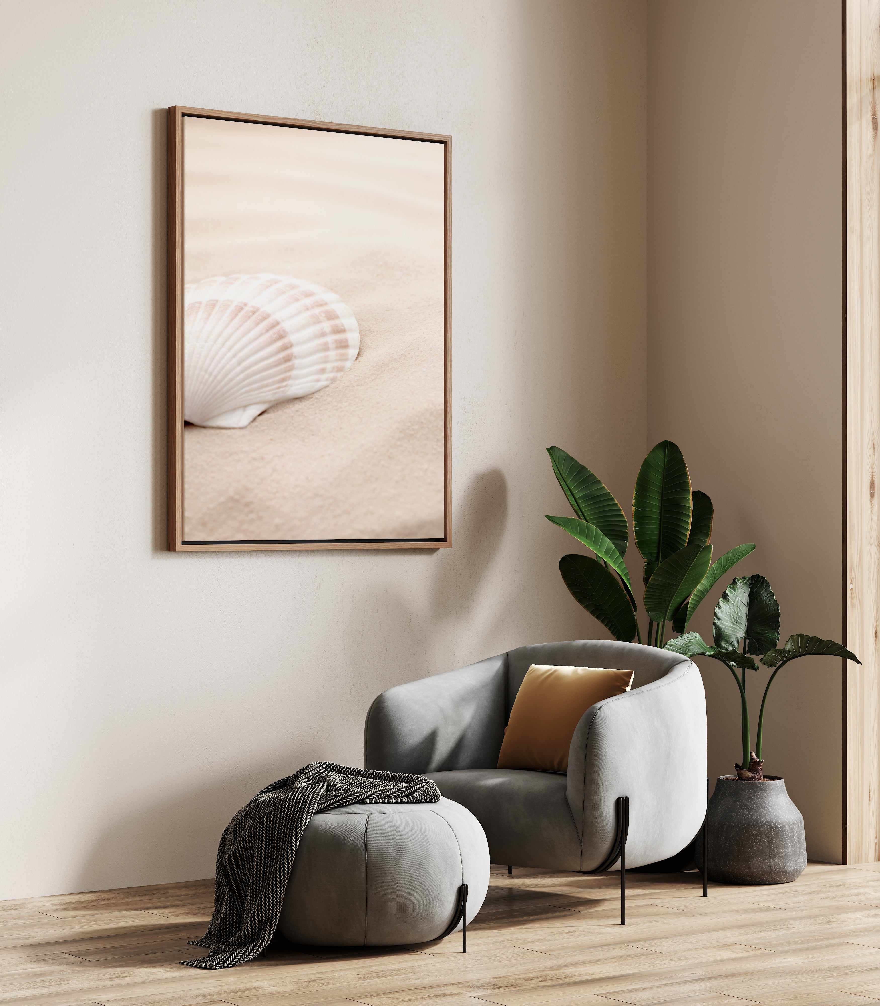 Shell 3 By Studio III | Framed Canvas Art Print