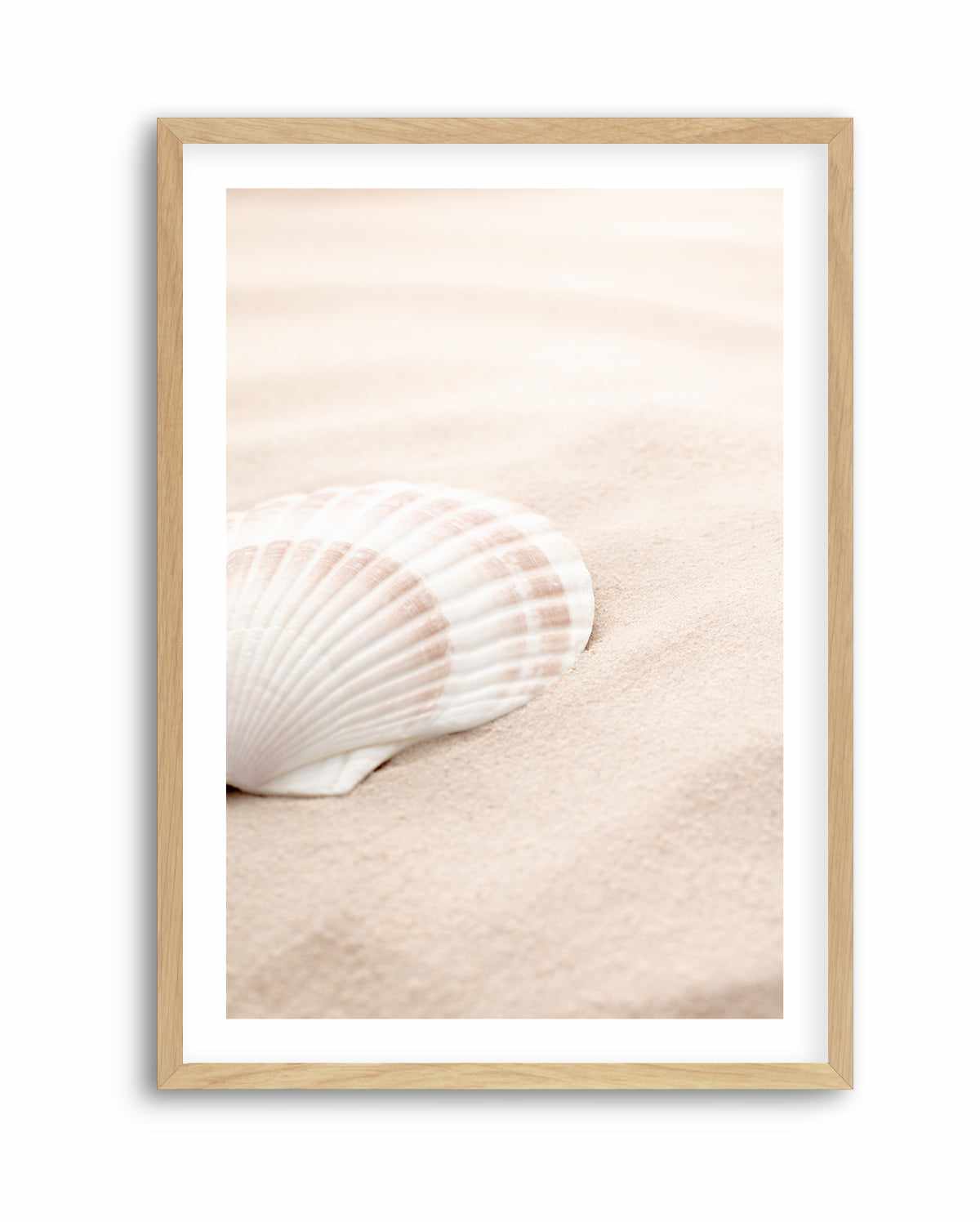 Shell 3 By Studio III | Art Print