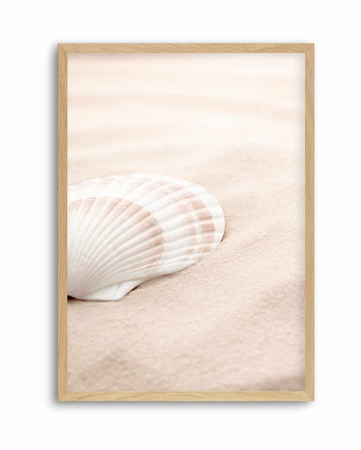 Shell 3 By Studio III | Art Print