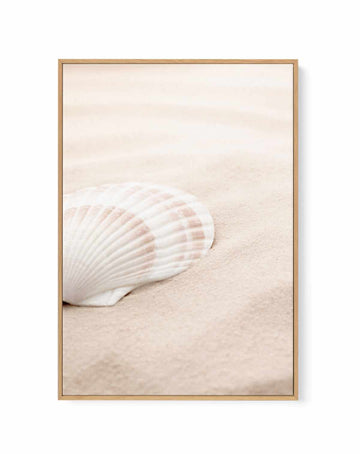 Shell 3 By Studio III | Framed Canvas Art Print from Olive et Oriel where you can shop wallpaper and artworks online