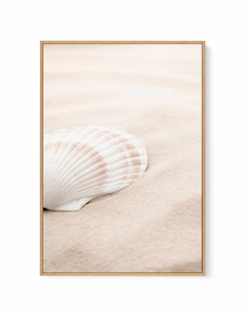 Shell 3 By Studio III | Framed Canvas Art Print