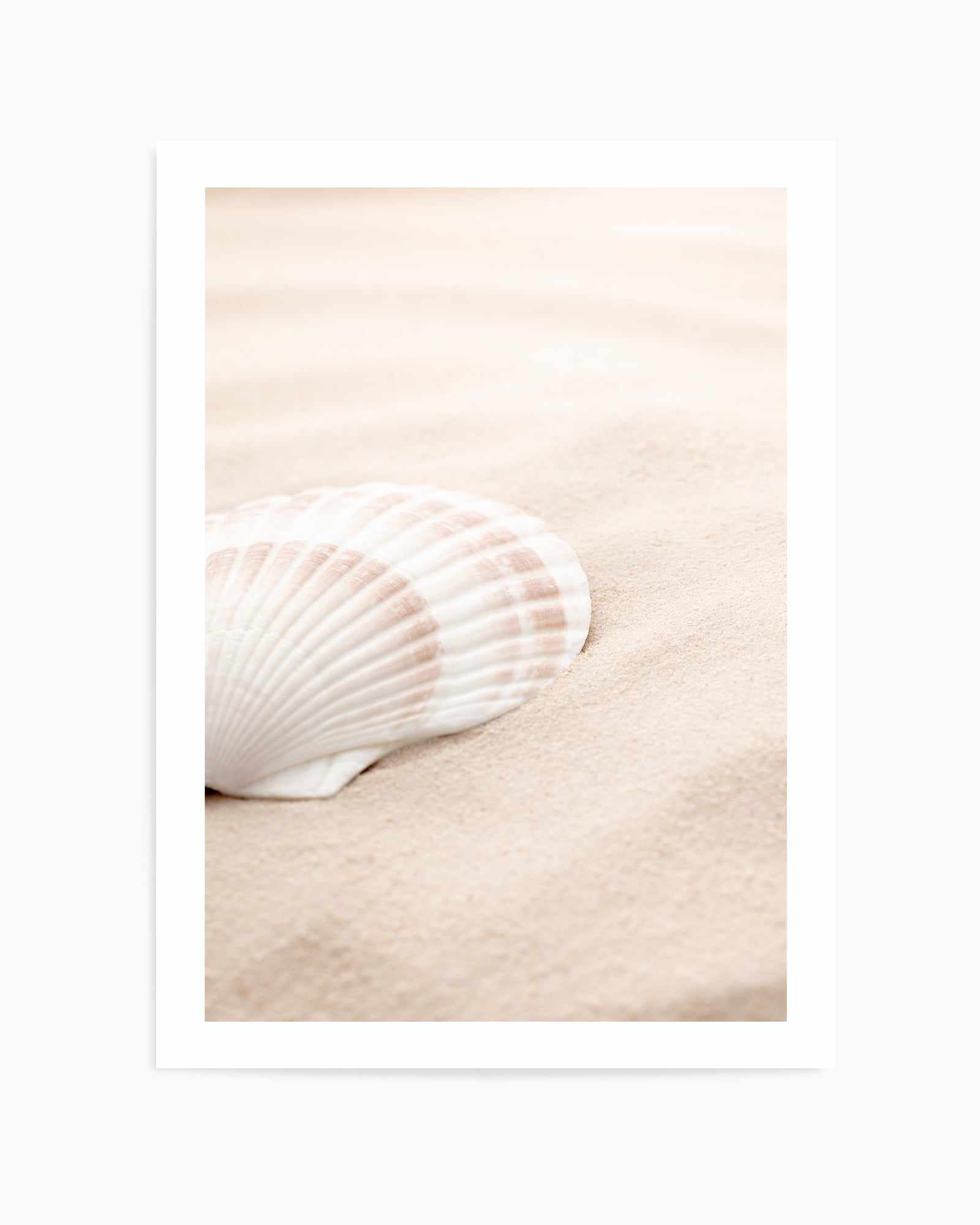 Shell 3 By Studio III | Art Print