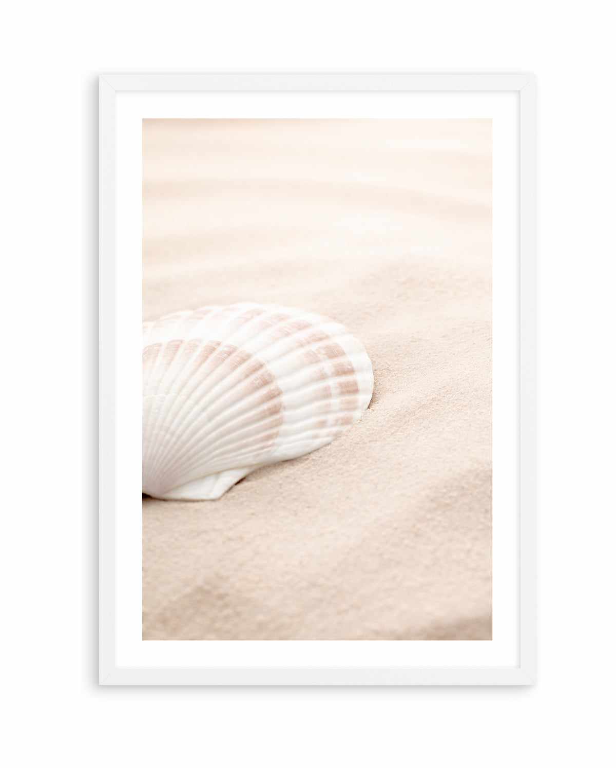 Shell 3 By Studio III | Art Print