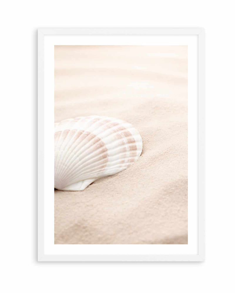 Shell 3 By Studio III | Art Print