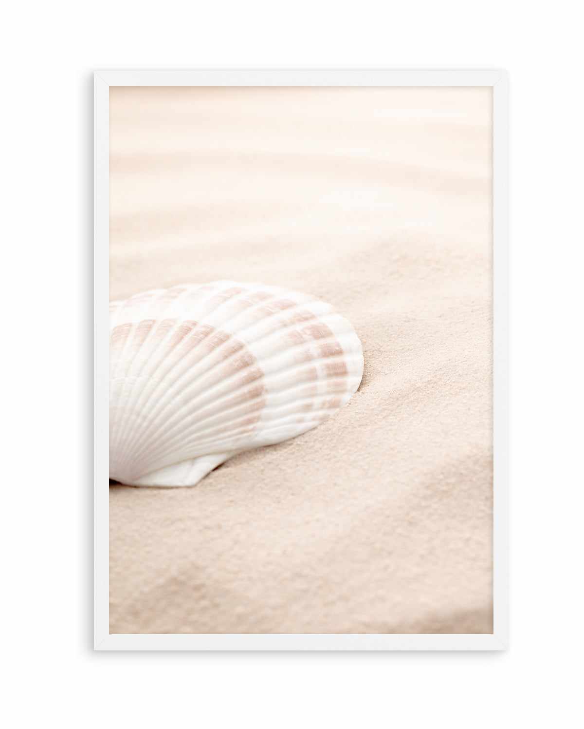 Shell 3 By Studio III | Art Print