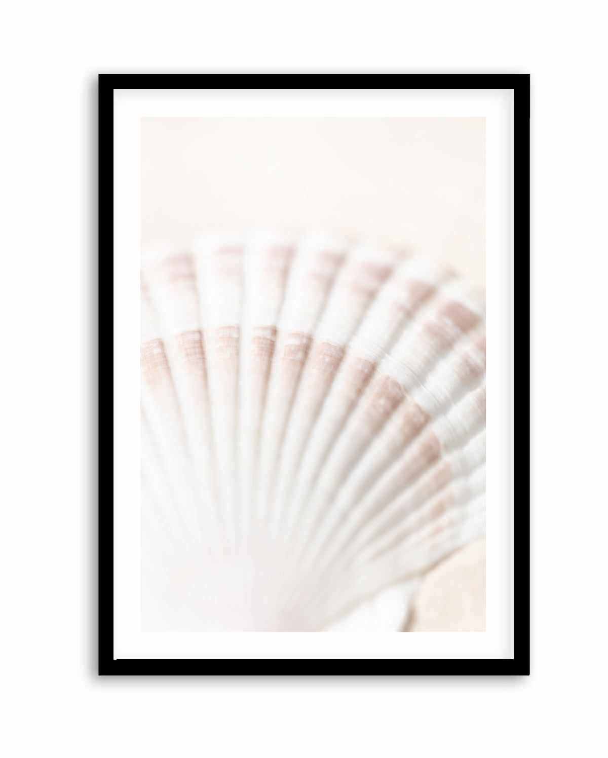 Shell By Studio III | Art Print – Olive et Oriel