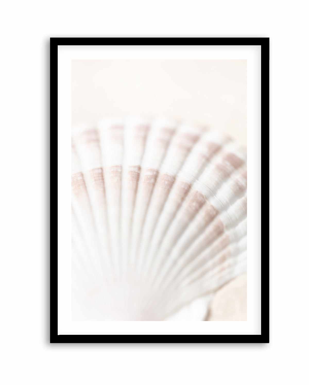 Shell By Studio III | Art Print