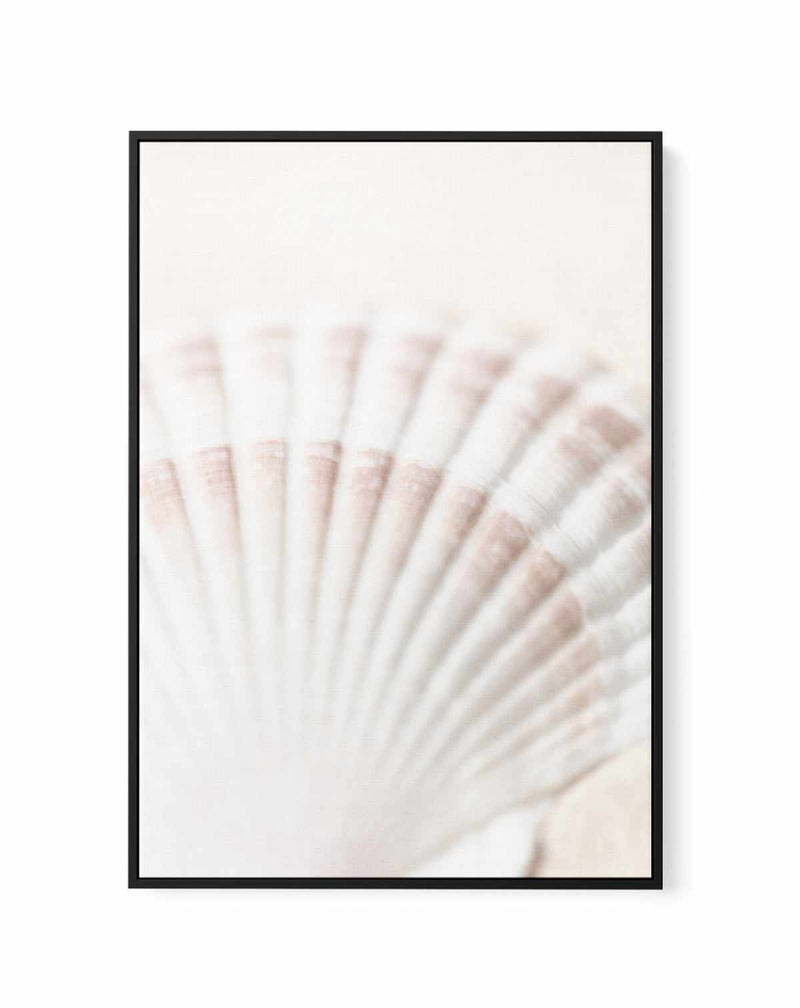 Shell By Studio III | Framed Canvas Art Print
