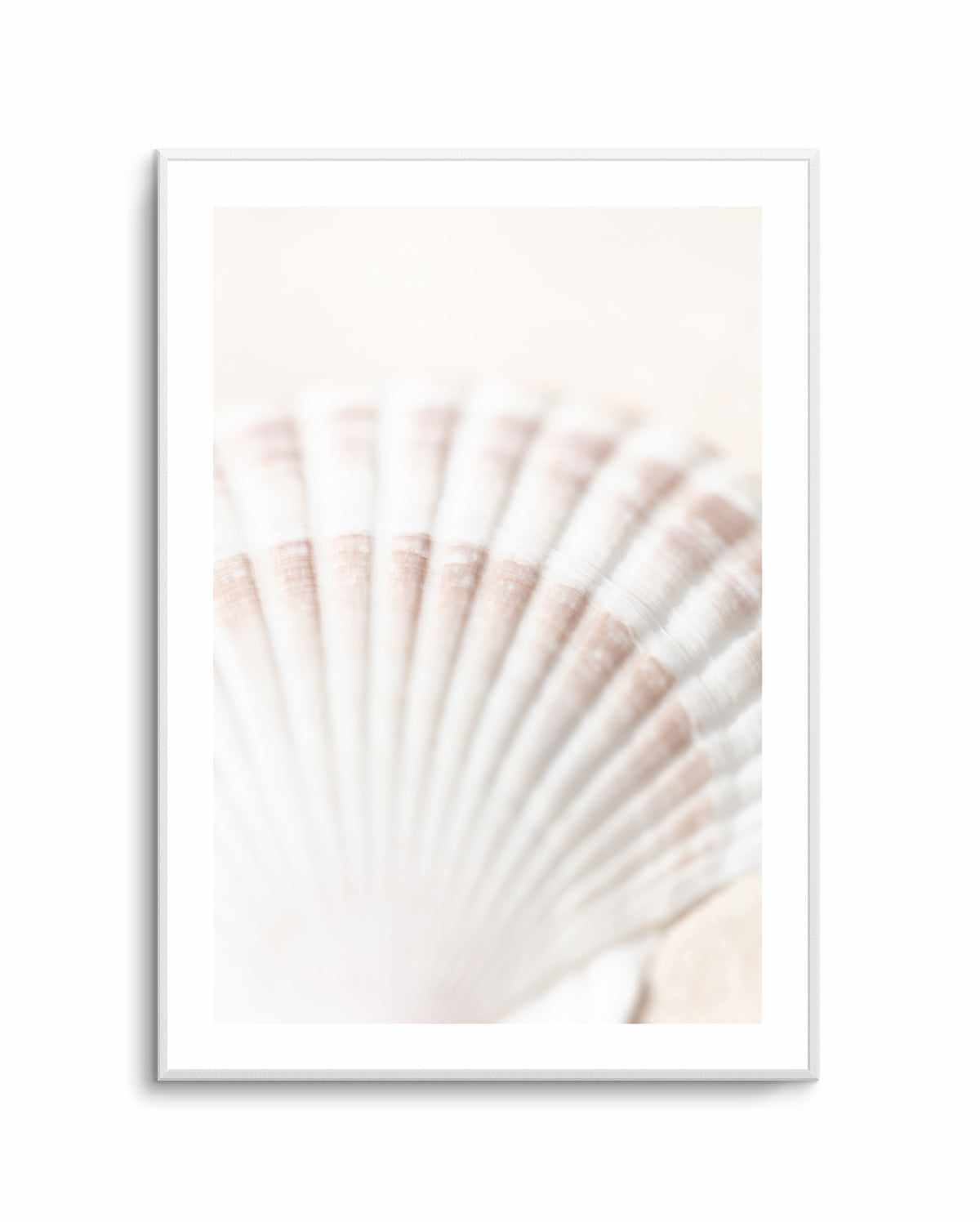 Shell By Studio III | Art Print