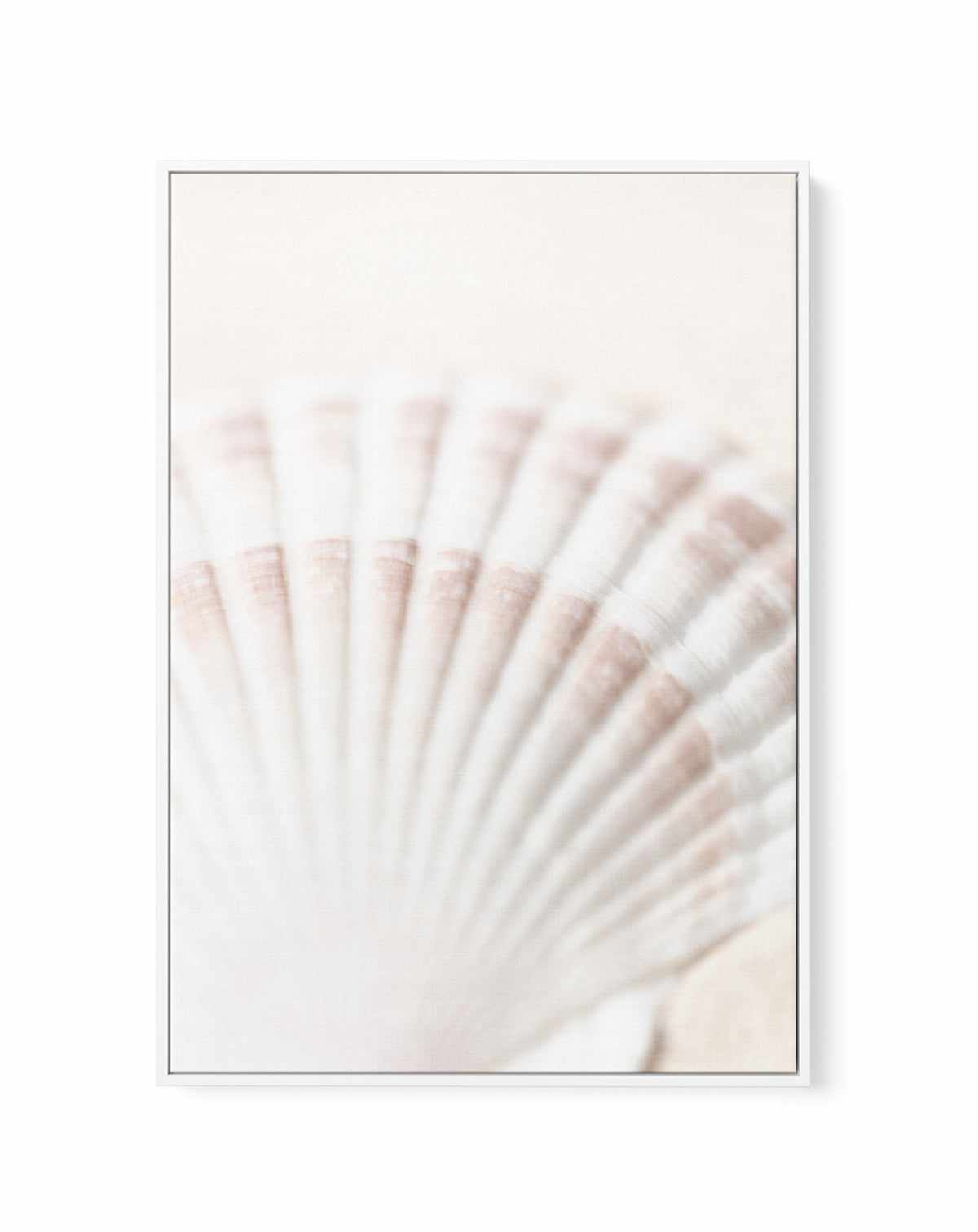 Shell By Studio III | Framed Canvas Art Print