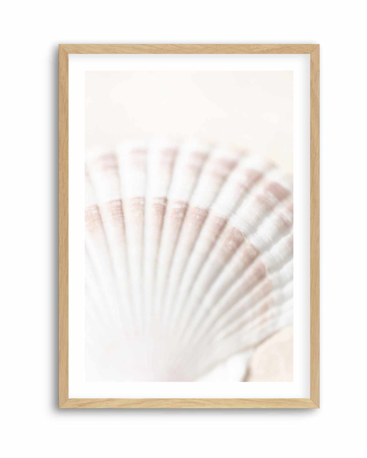 Shell By Studio III | Art Print