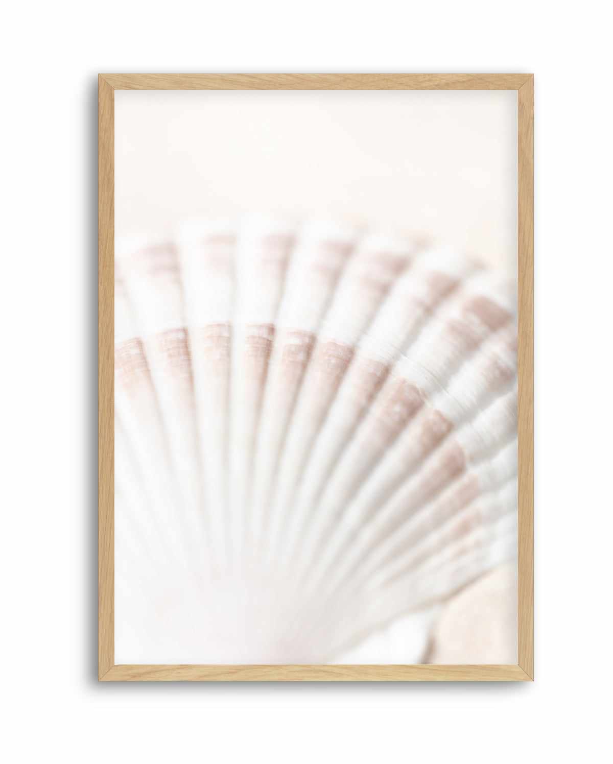 Shell By Studio III | Art Print