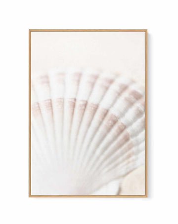 Shell By Studio III | Framed Canvas Art Print from Olive et Oriel where you can shop wallpaper and artworks online