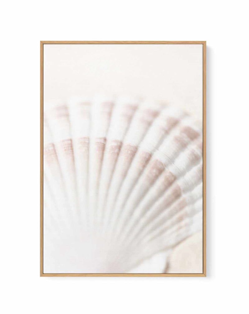 Shell By Studio III | Framed Canvas Art Print