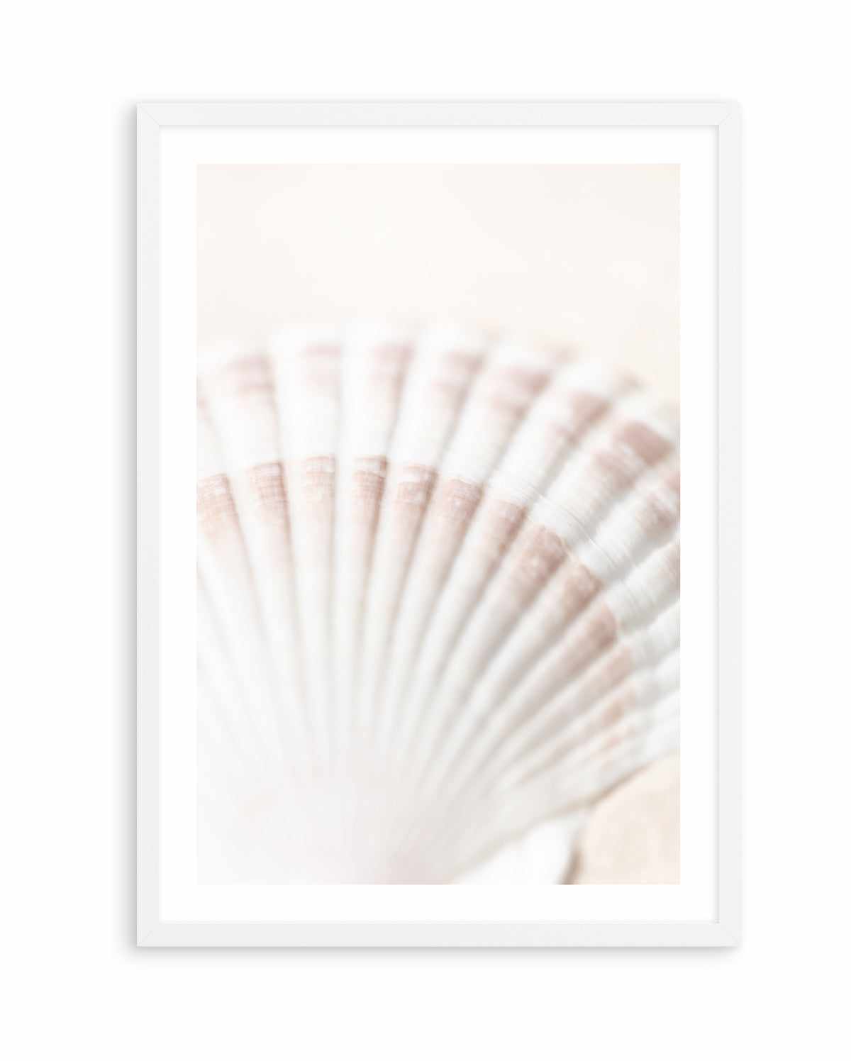 Shell By Studio III | Art Print – Olive et Oriel