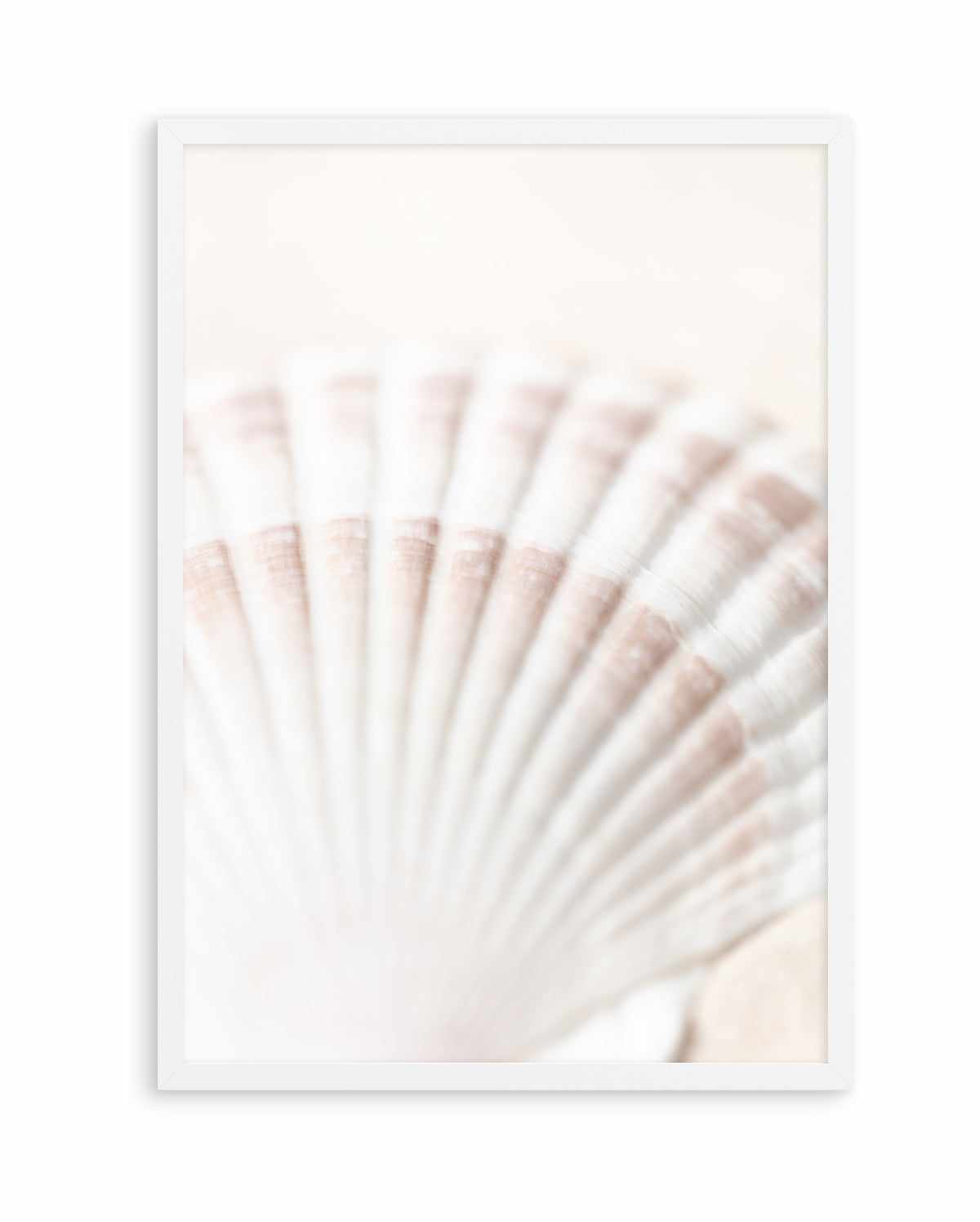 Shell By Studio III | Art Print