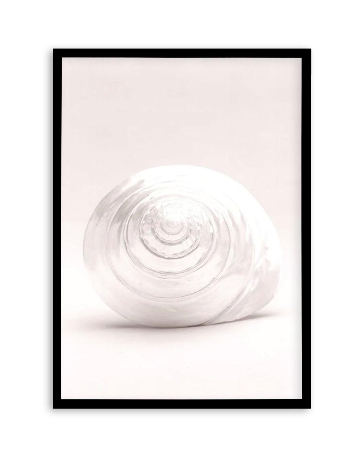 Shell I Art Print