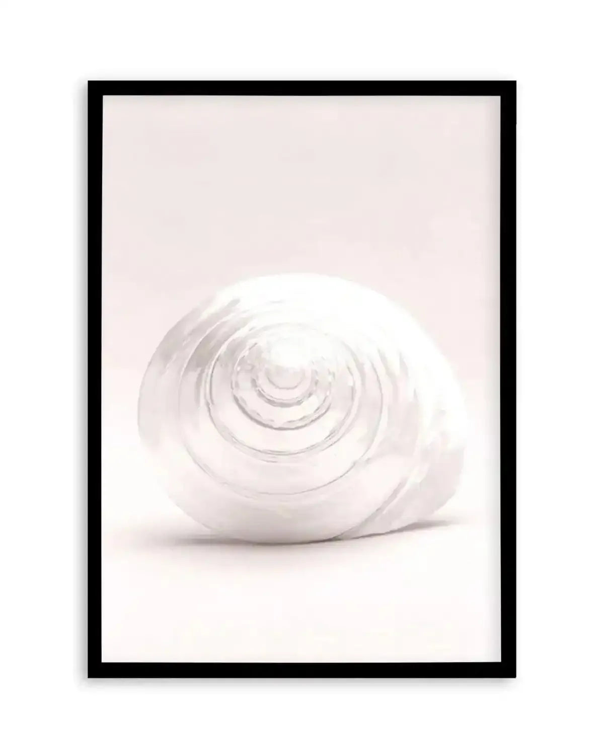 Shell I Art Print from Olive et Oriel where you can shop wallpaper and artworks online