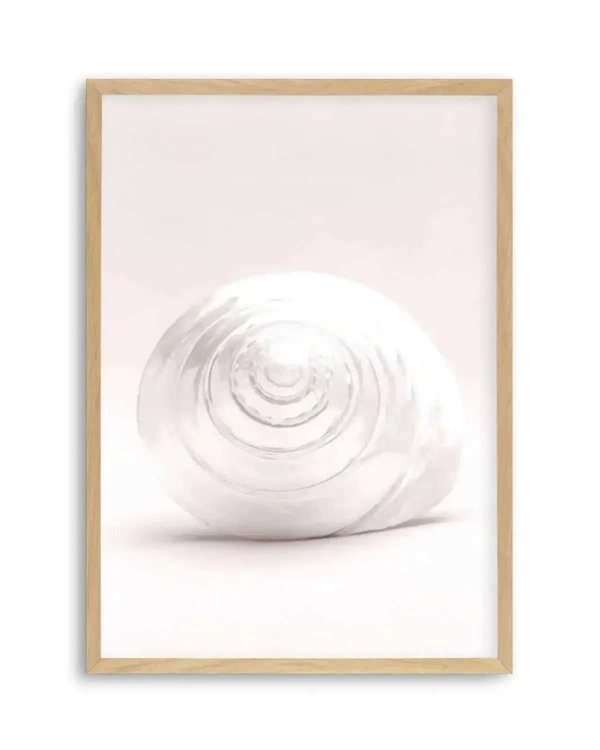 Shell I Art Print from Olive et Oriel where you can shop wallpaper and artworks online